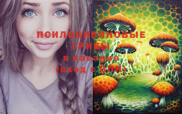 дмт Баксан