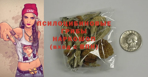 дмт Баксан