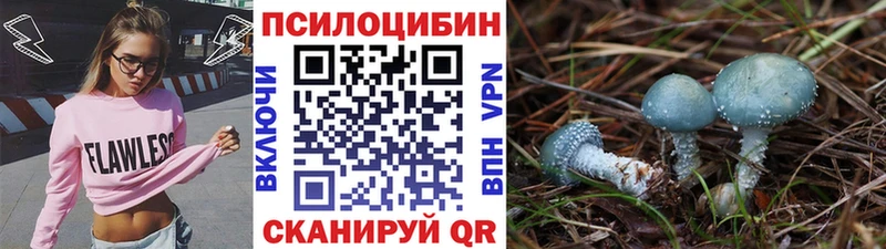закладки Новопавловск Галлюциногенные грибы прущие грибы